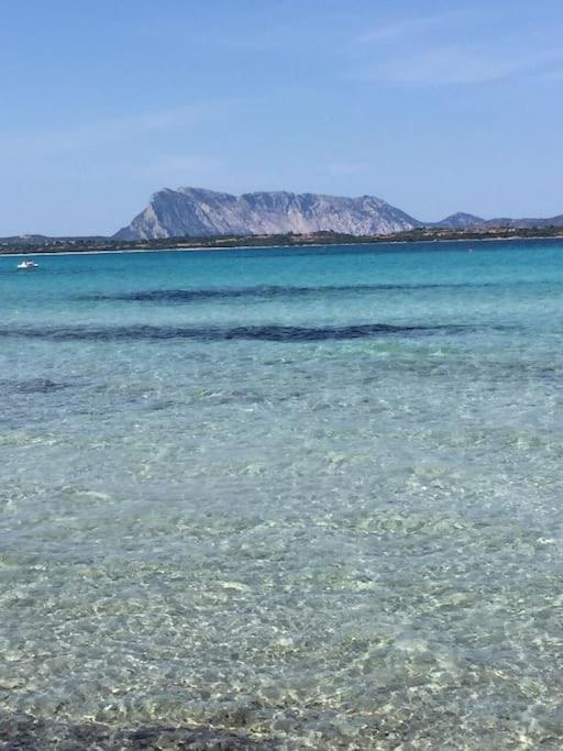 Camera Sole Olbia Bagian luar foto