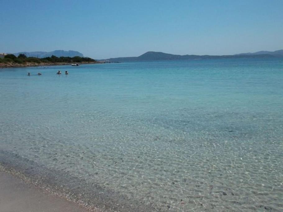 Camera Sole Olbia Bagian luar foto
